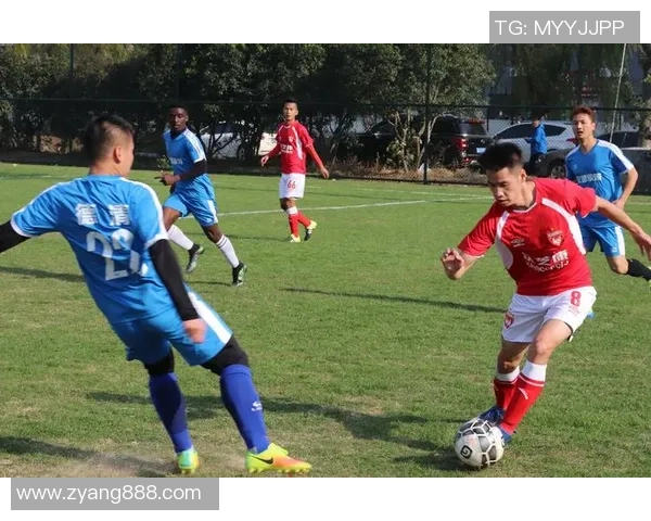 杭州足球队团队协作引发热议球迷与专家各执己见分析争议原因