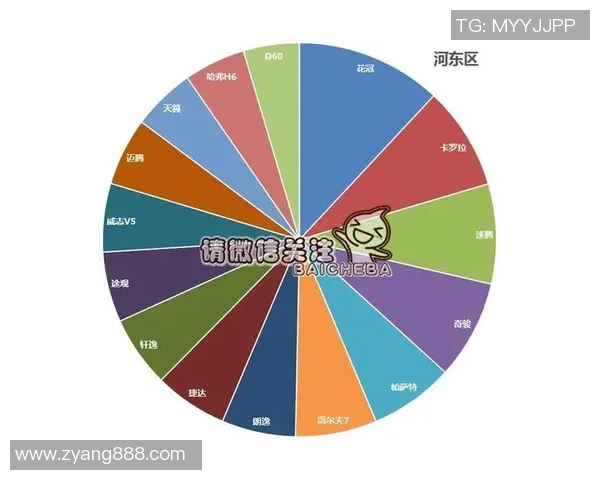 独家分析：深圳篮球队的力量对比