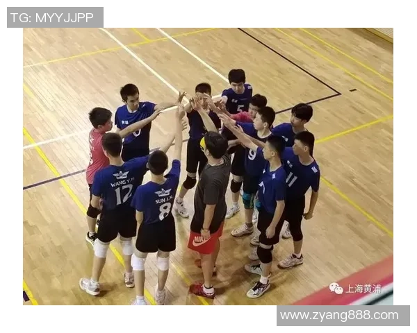 排球团队协作排名：上海排球队创新高