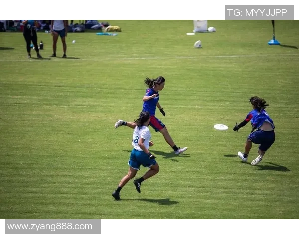 飞盘状态排行榜：武汉飞盘队位居第2名