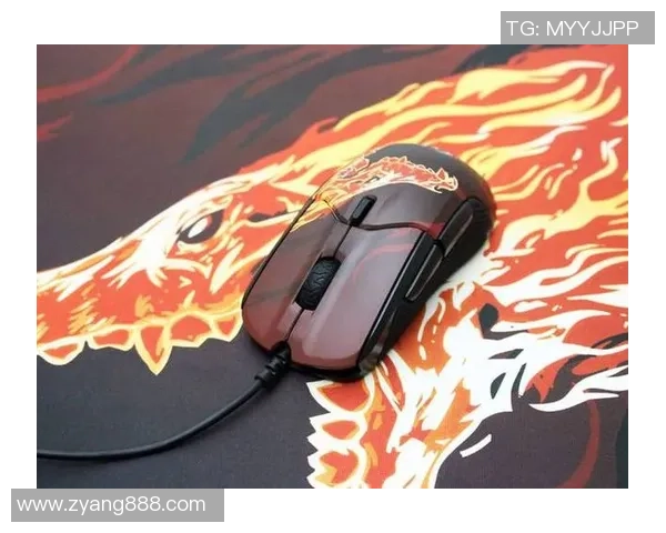 深度对话：赵静的CS_GO人生