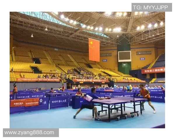 乒乓球巨献：探秘西安乒乓球队的团队协作