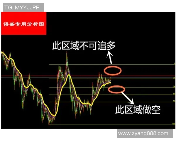 独家分析:重庆滑板队的战术对比 独家分析:重庆滑板队的战术对比